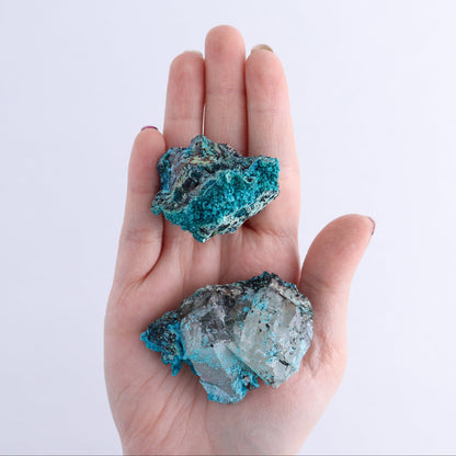 Chrysocolla on Quartz Roughs Set of 35