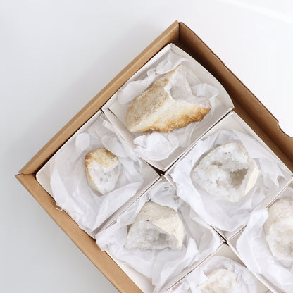 Quartz Geodes Set of 7