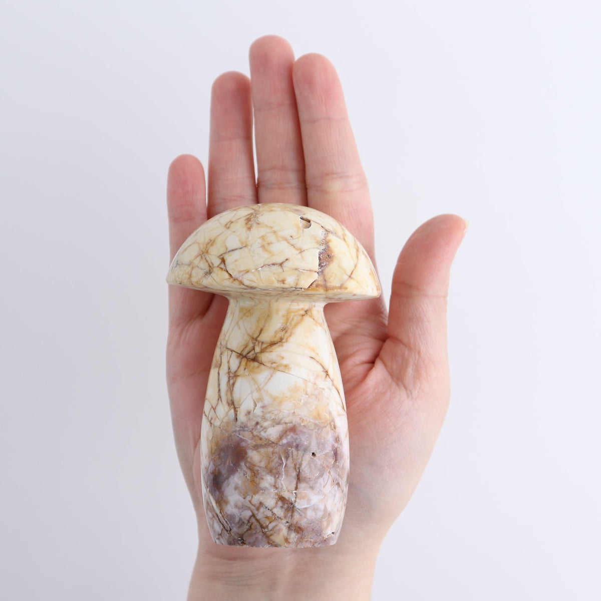 Jasper Mushrooms Set of 8