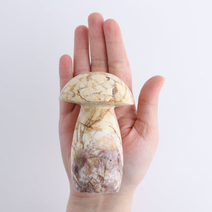 Jasper Mushrooms Set of 8
