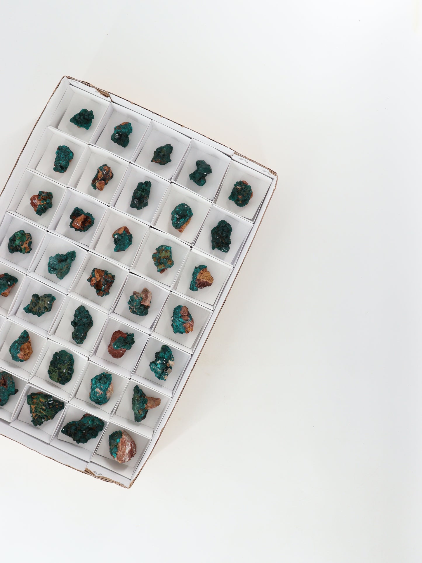 Dioptase Flat - Expert Wholesale and Supplier of Wholesale Crystals & Bulk Gemstones, []