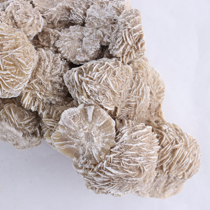 Desert Rose Cluster - Expert Wholesale and Supplier of Wholesale Crystals & Bulk Gemstones, ["Desert Rose","Freeforms"]