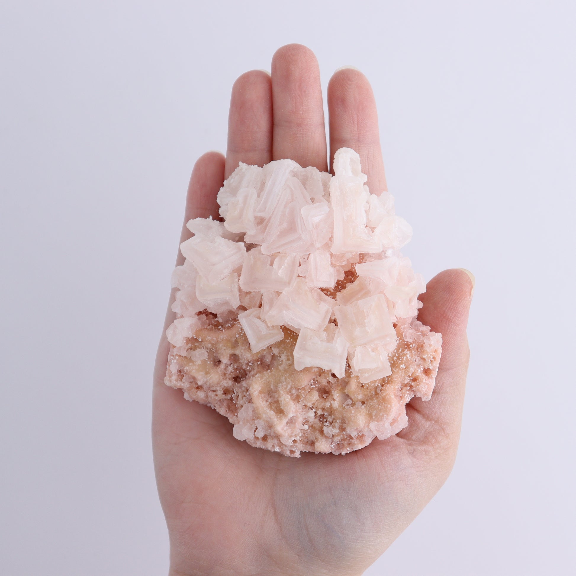 Searles Lake Halite Flat of 6 - Expert Wholesale and Supplier of Wholesale Crystals & Bulk Gemstones, ["Flats","Halite","United States"]