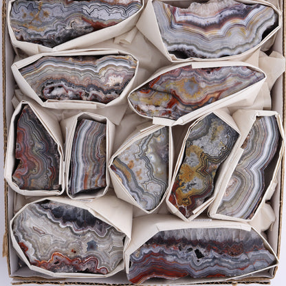 Crazy Lace Agate Flat of 13 - Expert Wholesale and Supplier of Wholesale Crystals & Bulk Gemstones, ["Crazy Lace Agate","Mexico"]