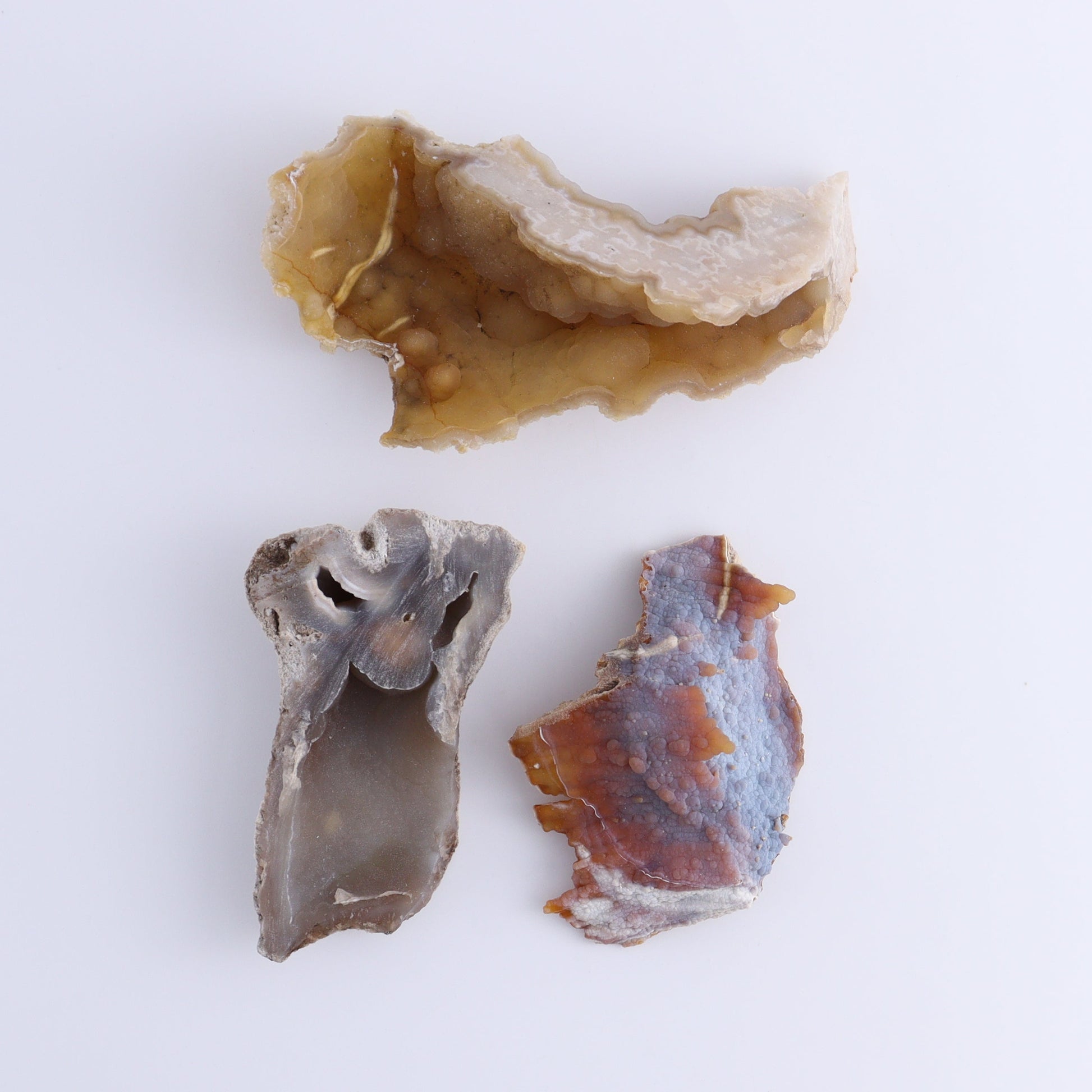 Agatized Coral Flat - Expert Wholesale and Supplier of Wholesale Crystals & Bulk Gemstones, ["Agate","Agatized Coral","Coral","United States"]