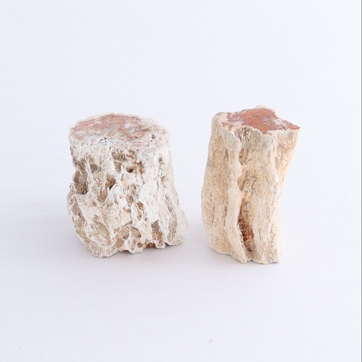 Petrified Wood Cut Bases Set of 10 - Expert Wholesale and Supplier of Wholesale Crystals & Bulk Gemstones, ["Cut Base","Petrified Wood"]