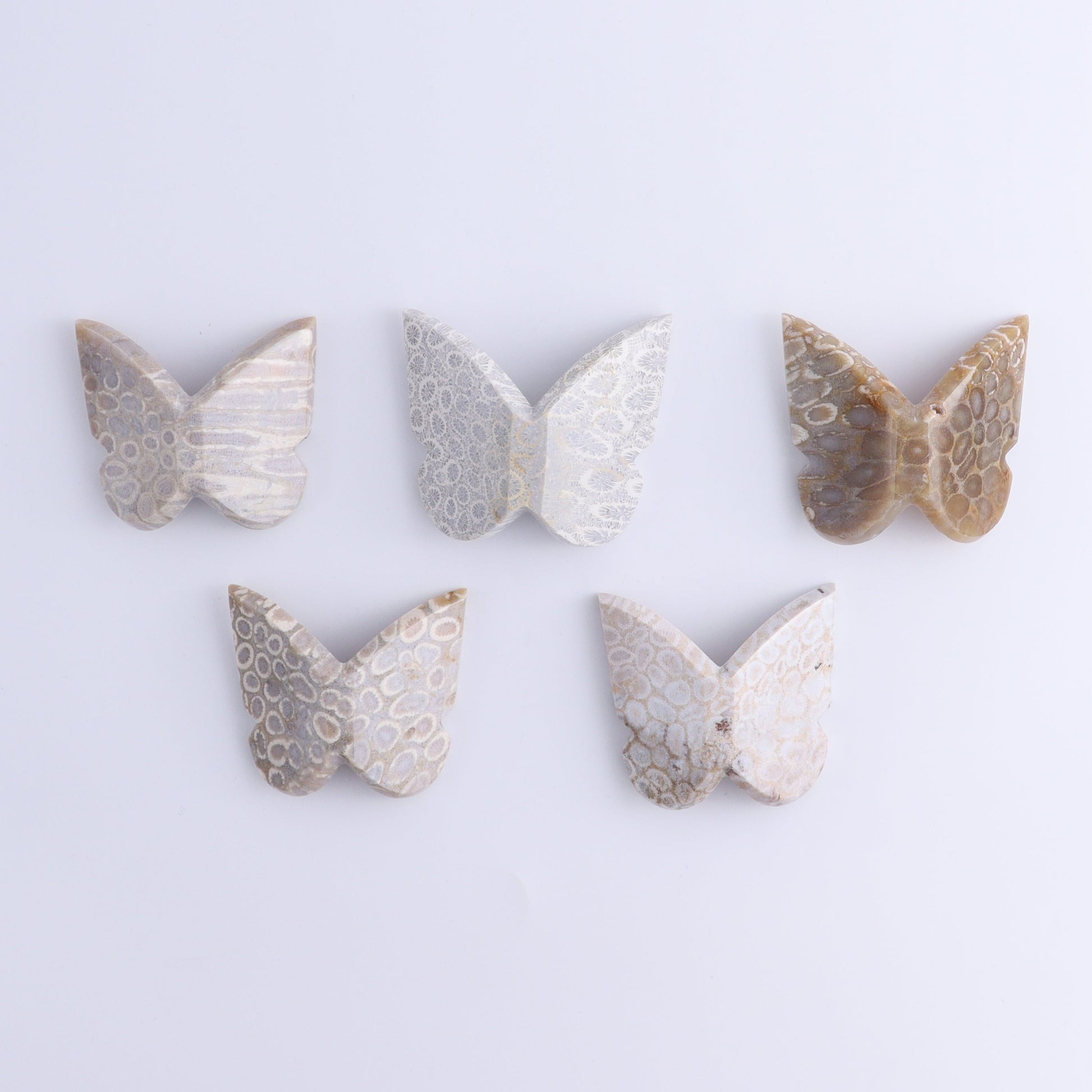 Butterflies Blue Palm Root & Fossil Coral Set of 10 - Expert Wholesale and Supplier of Wholesale Crystals & Bulk Gemstones, ["Butterflies","fossil coral","Palm Root"]