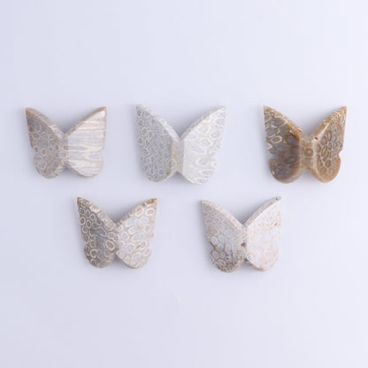 Butterflies Blue Palm Root & Fossil Coral Set of 10 - Expert Wholesale and Supplier of Wholesale Crystals & Bulk Gemstones, ["Butterflies","fossil coral","Palm Root"]