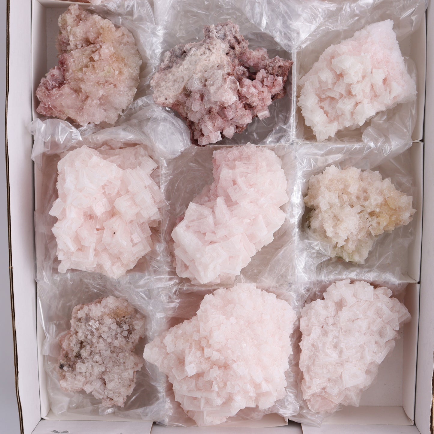 Pink Halite Set of 12 - Expert Wholesale and Supplier of Wholesale Crystals & Bulk Gemstones, ["Flats","Halite","Pink Halite","United States"]