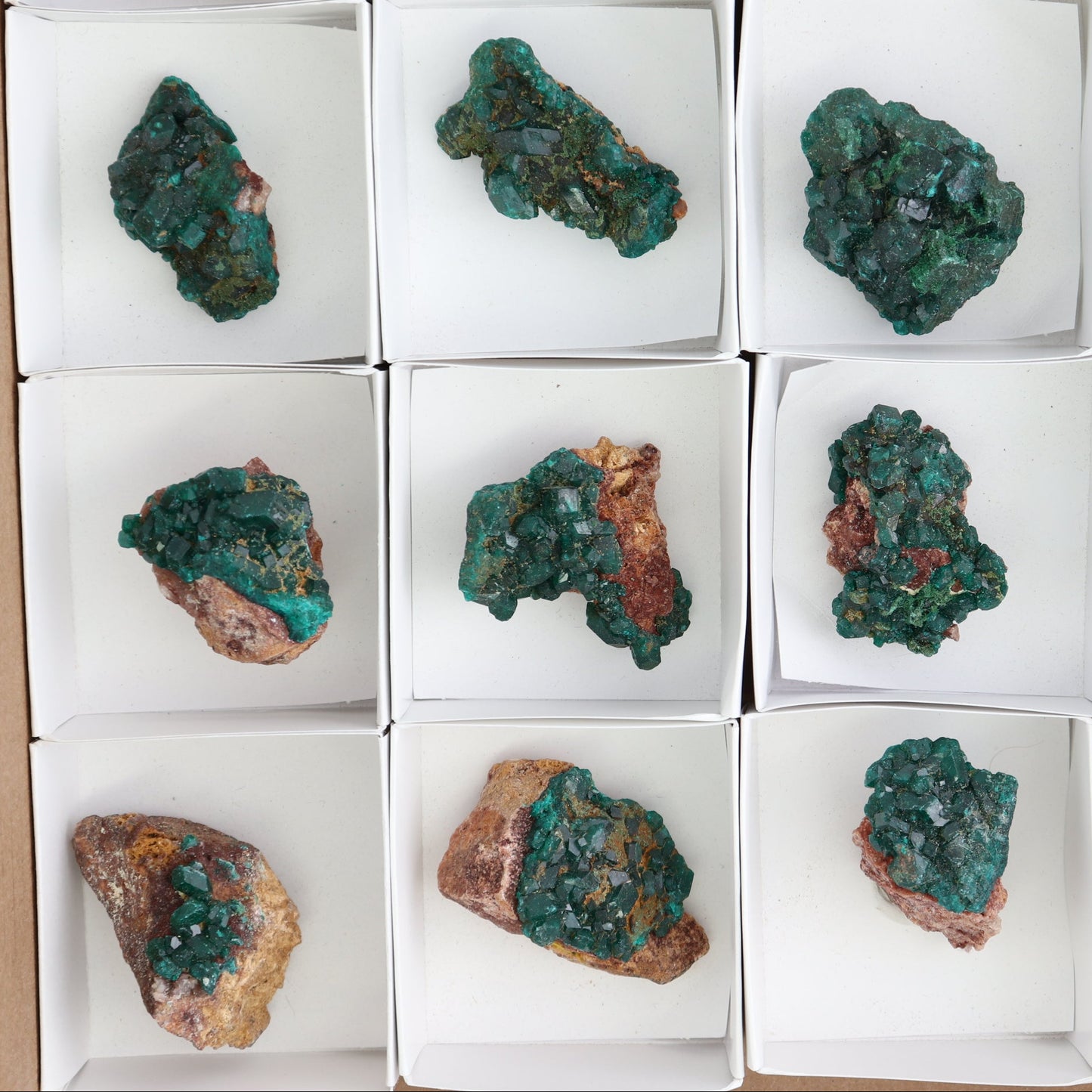 Dioptase Set of 12
