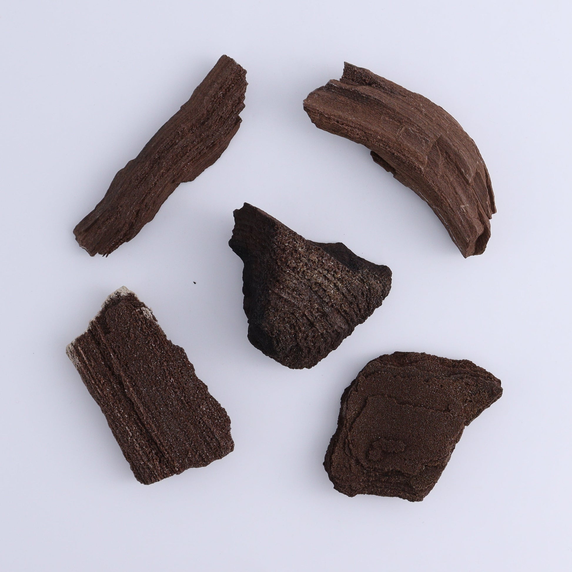 Permineralized Wood Flat of 24 - Expert Wholesale and Supplier of Wholesale Crystals & Bulk Gemstones, ["Flats","Germany","Permineralized Wood"]