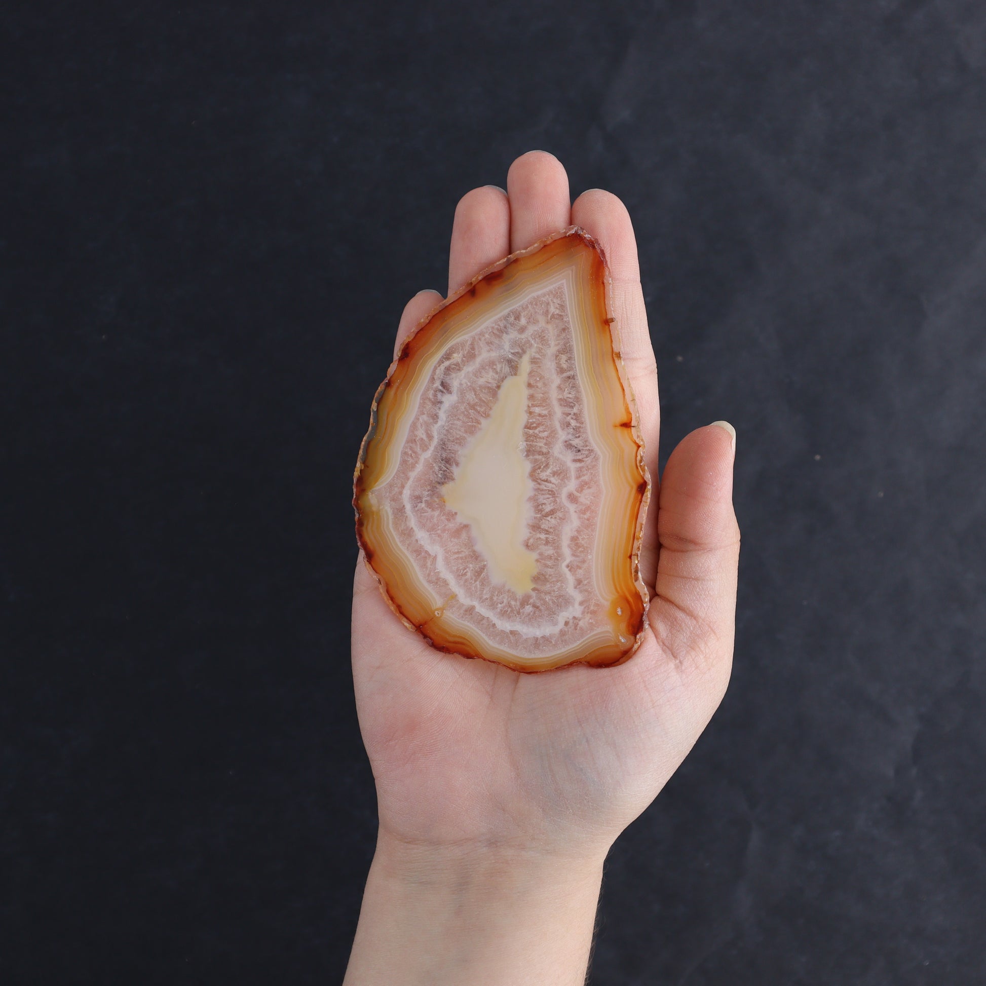Iris Agate Slices Set of 6 - Expert Wholesale and Supplier of Wholesale Crystals & Bulk Gemstones, ["Agate","Iris Agate","Slices and Slabs"]