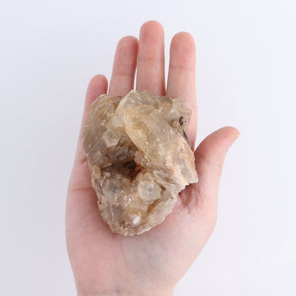 Congo Citrine Set of 12
