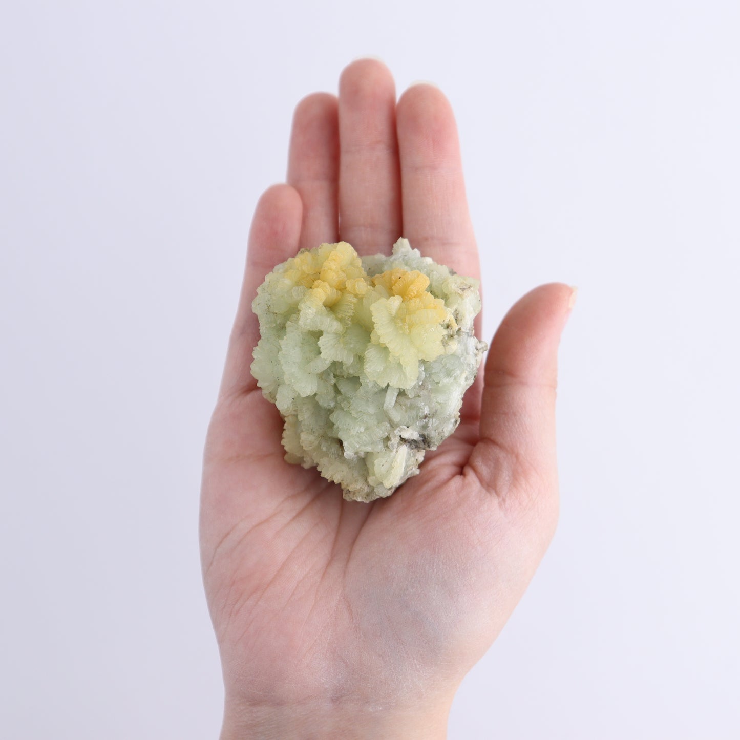 Prehnite Flat from Morocco - Expert Wholesale and Supplier of Wholesale Crystals & Bulk Gemstones, ["Flats","Morocco","Prehnite"]