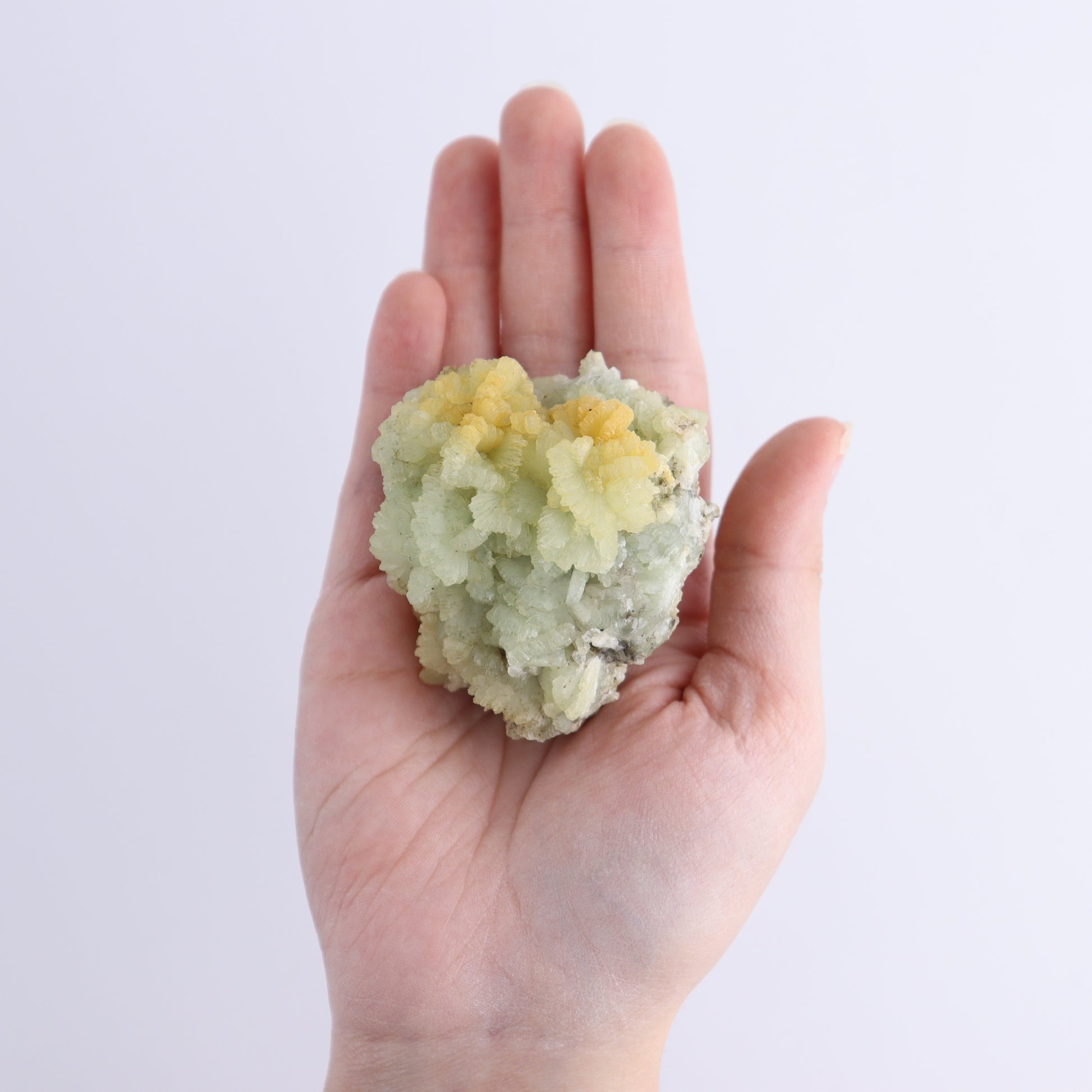Prehnite Flat from Morocco - Expert Wholesale and Supplier of Wholesale Crystals & Bulk Gemstones, ["Flats","Morocco","Prehnite"]