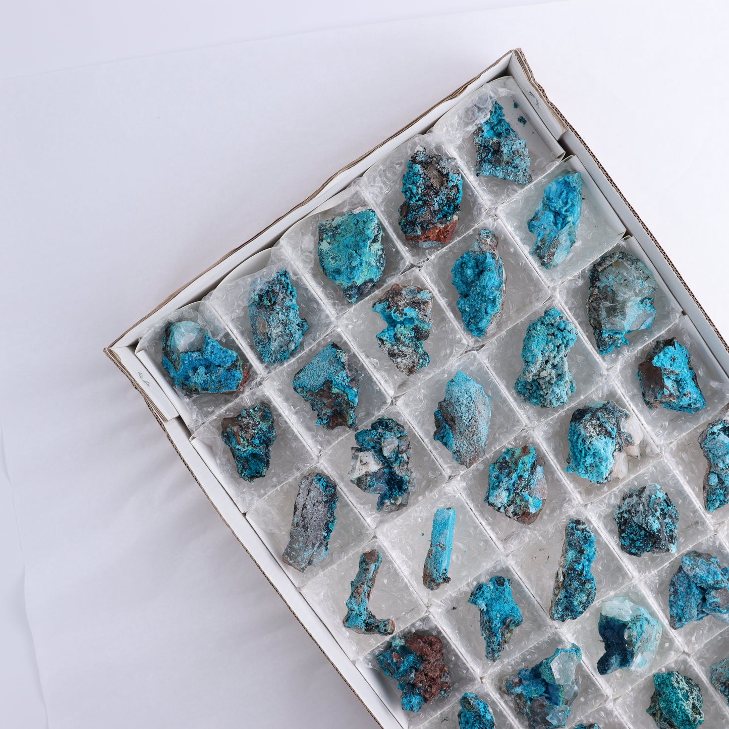 Chrysocolla on Quartz Roughs Set of 35