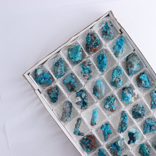 Chrysocolla on Quartz Roughs Set of 35