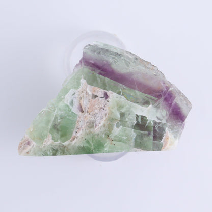 Fluorite Face Polished Set of 7 - Expert Wholesale and Supplier of Wholesale Crystals & Bulk Gemstones, ["Face Polished","Fluorite","Mexico"]