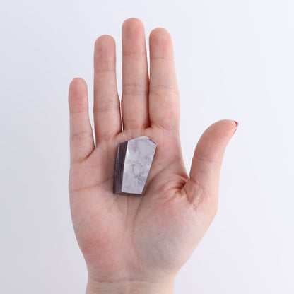 Lepidolite Freeforms Set of 12