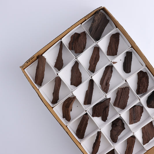 Permineralized Wood Flat of 24 - Expert Wholesale and Supplier of Wholesale Crystals & Bulk Gemstones, ["Flats","Germany","Permineralized Wood"]