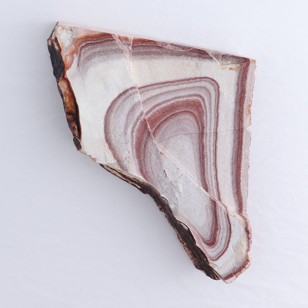 Rhyolite Slabs Set of 3