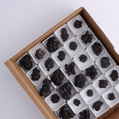 Egyptian Prophecy Stones Flat Set of 29 - Expert Wholesale and Supplier of Wholesale Crystals & Bulk Gemstones, ["Egypt","Freeforms","Prophecy Stone"]