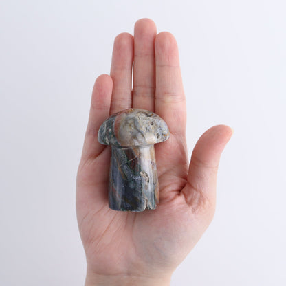 Jasper Mushrooms Set of 8