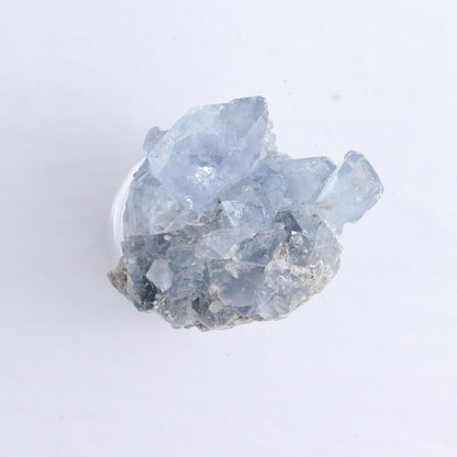 Celestite Clusters Set of 8