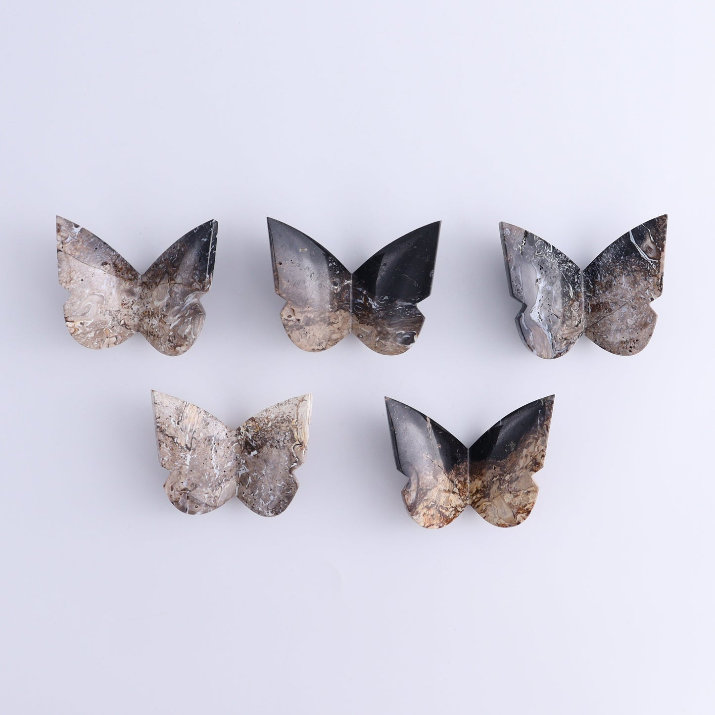 Butterflies Blue Palm Root & Fossil Coral Set of 10 - Expert Wholesale and Supplier of Wholesale Crystals & Bulk Gemstones, ["Butterflies","fossil coral","Palm Root"]