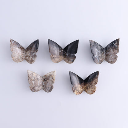 Butterflies Blue Palm Root & Fossil Coral Set of 10 - Expert Wholesale and Supplier of Wholesale Crystals & Bulk Gemstones, ["Butterflies","fossil coral","Palm Root"]