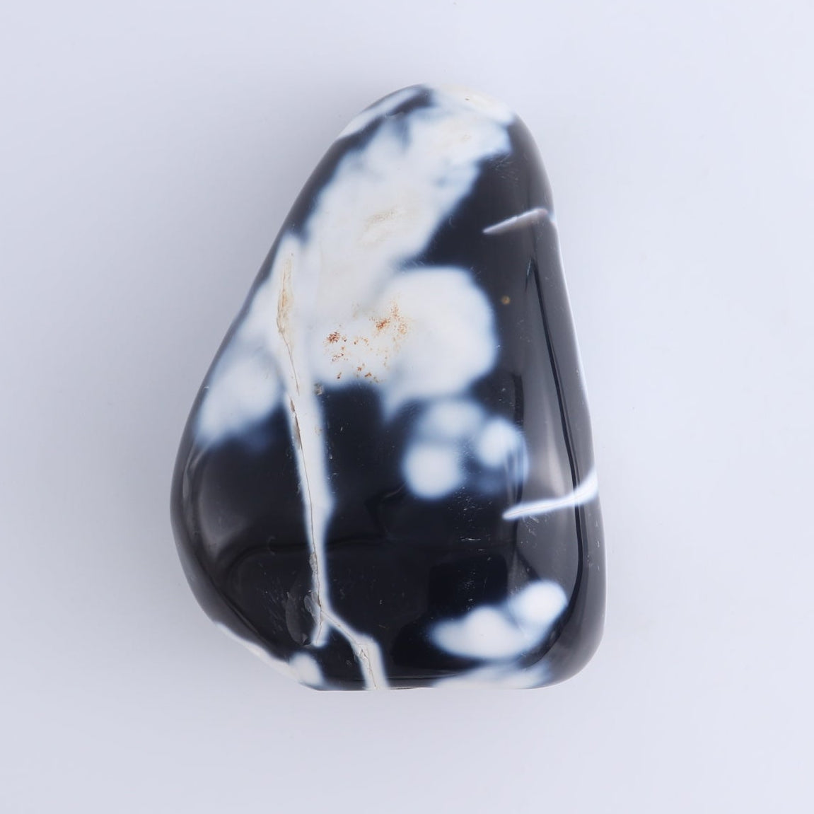 Orca Agate Freeform Set of 4