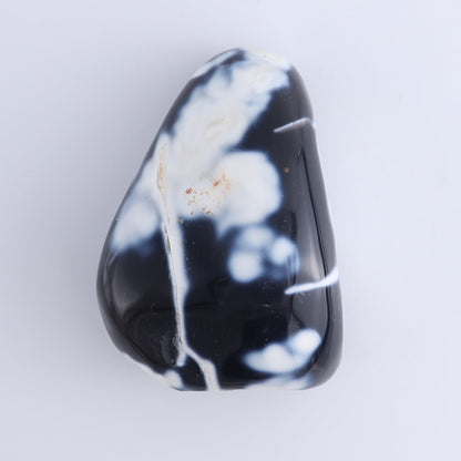 Orca Agate Freeform Set of 4