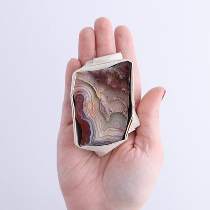 Crazy Lace Agate Flat of 12 - Expert Wholesale and Supplier of Wholesale Crystals & Bulk Gemstones, ["Crazy Lace Agate","Mexico"]