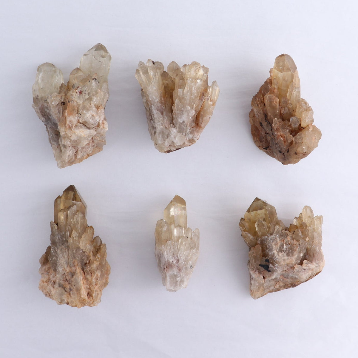 Congo Citrine Set of 6 - wholesale crystals