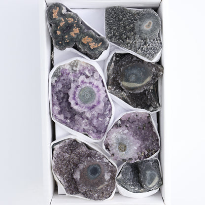 Uruguay Amethyst Clusters with "Eyes" Flat of 7 - Expert Wholesale and Supplier of Wholesale Crystals & Bulk Gemstones, ["Amethyst","Amethyst Eyes","Clusters","Uruguay"]