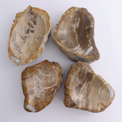 Petrified Wood Bowls Set of 4 - Expert Wholesale and Supplier of Wholesale Crystals & Bulk Gemstones, ["Bowls","Indonesia","Petrified Wood"]