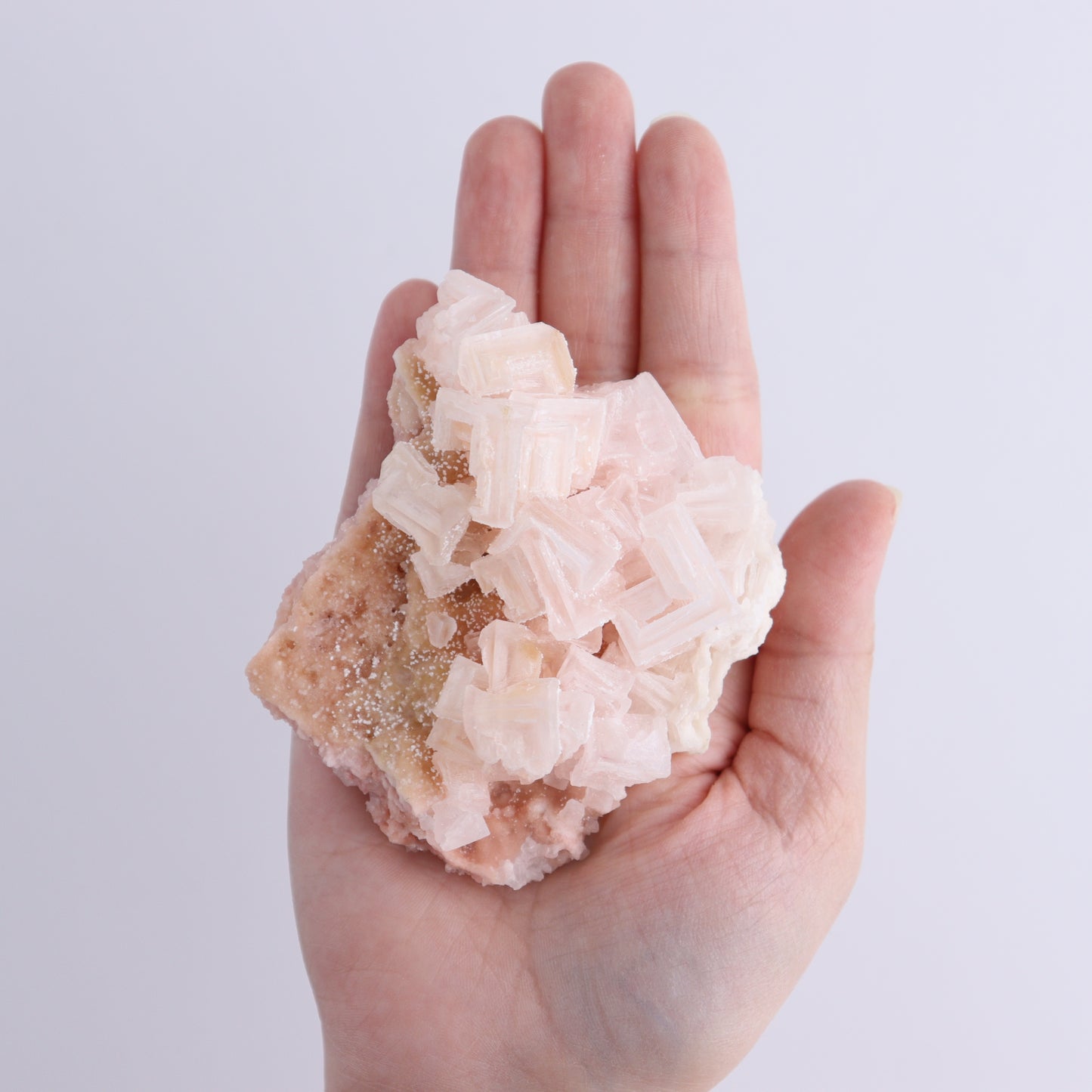 Searles Lake Halite Flat of 6 - Expert Wholesale and Supplier of Wholesale Crystals & Bulk Gemstones, ["Flats","Halite","United States"]