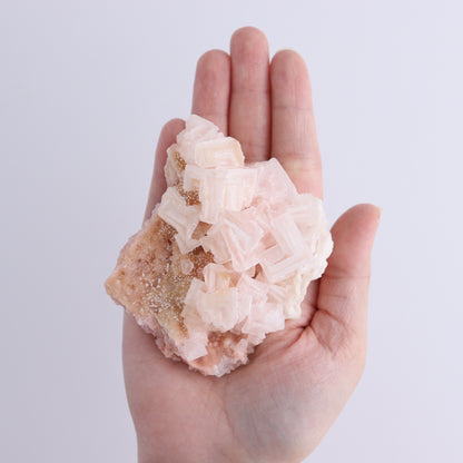 Searles Lake Halite Flat of 6 - Expert Wholesale and Supplier of Wholesale Crystals & Bulk Gemstones, ["Flats","Halite","United States"]
