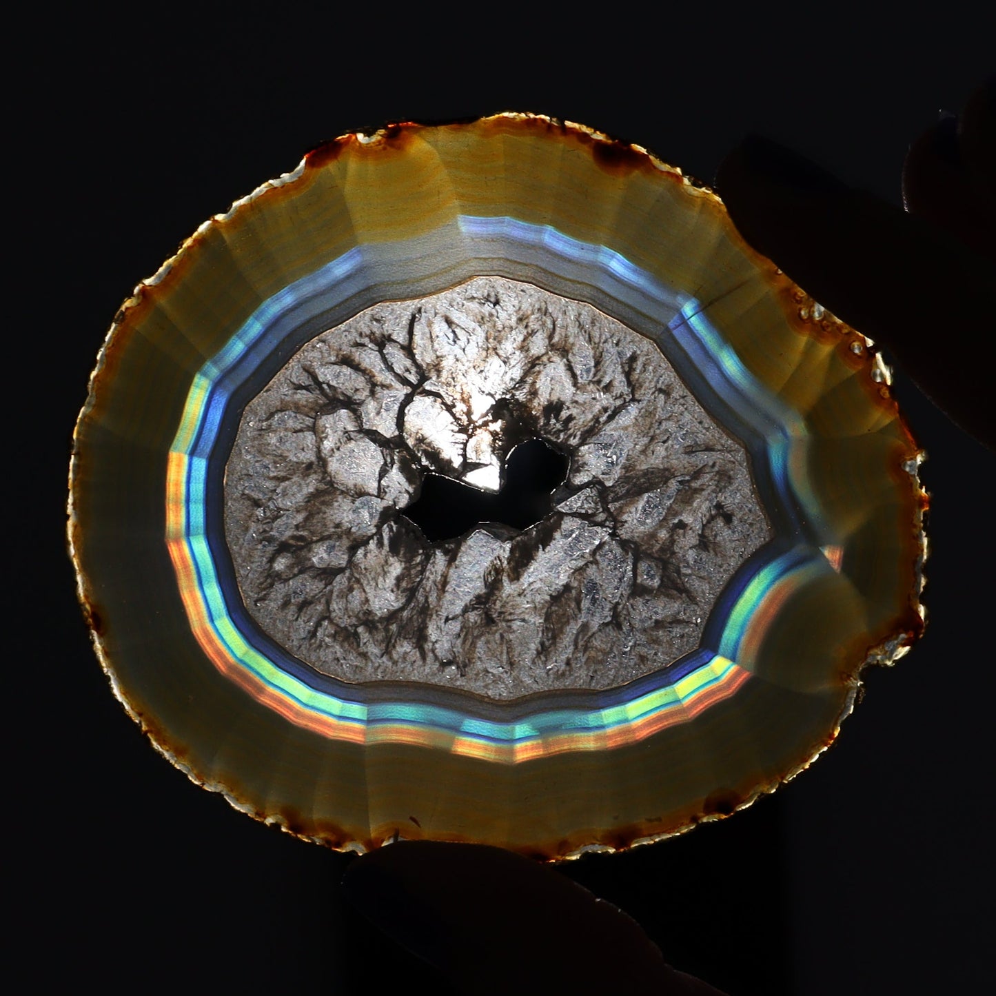 Iris Agate Slices Set of 5 - Expert Wholesale and Supplier of Wholesale Crystals & Bulk Gemstones, ["Agate","Iris Agate","Slices and Slabs"]