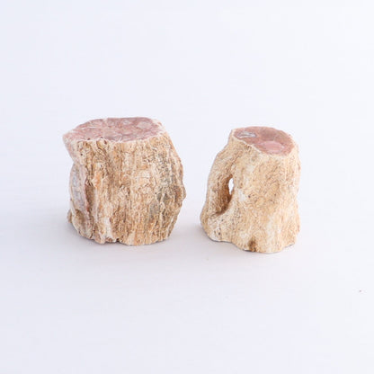 Petrified Wood Cut Bases Set of 10 - Expert Wholesale and Supplier of Wholesale Crystals & Bulk Gemstones, ["Cut Base","Petrified Wood"]