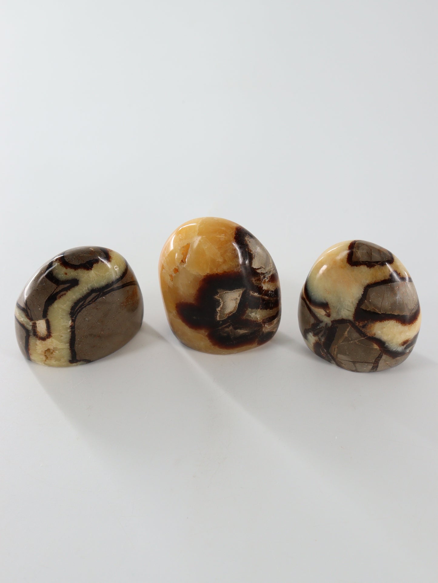 Sepatarian Freeforms Set of 12 - Expert Wholesale and Supplier of Wholesale Crystals & Bulk Gemstones, []