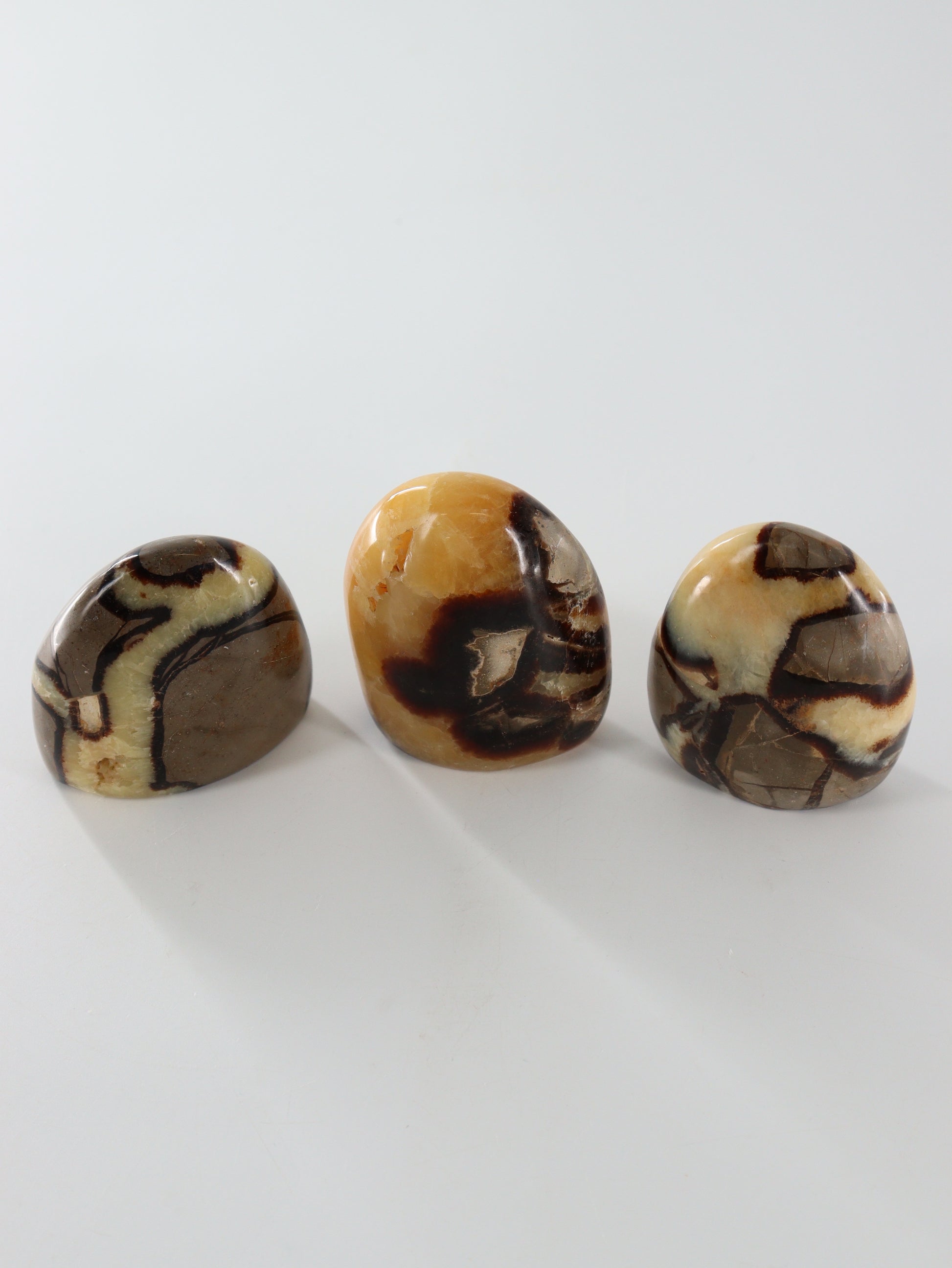 Sepatarian Freeforms Set of 12 - Expert Wholesale and Supplier of Wholesale Crystals & Bulk Gemstones, []