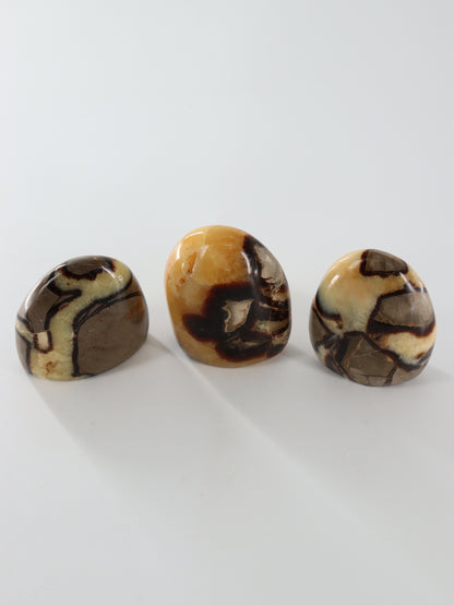 Sepatarian Freeforms Set of 12 - Expert Wholesale and Supplier of Wholesale Crystals & Bulk Gemstones, []