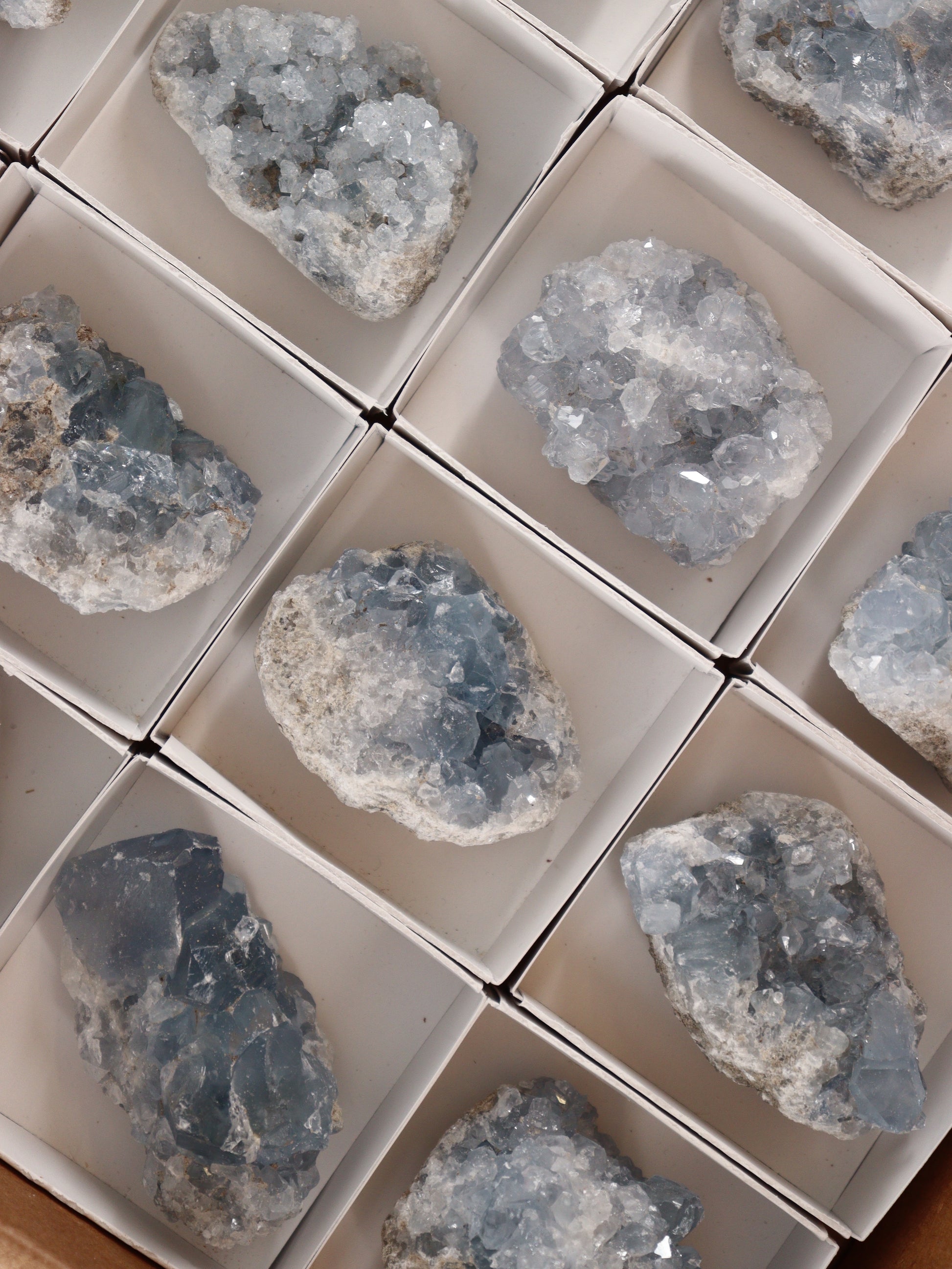 Celestite Clusters Set of 24 - Expert Wholesale and Supplier of Wholesale Crystals & Bulk Gemstones, []