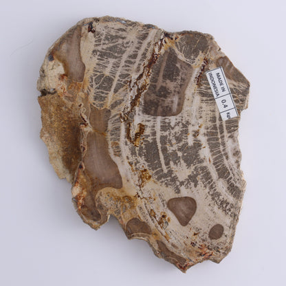 Petrified Wood Slices & Slabs Set of 3 - Expert Wholesale and Supplier of Wholesale Crystals & Bulk Gemstones, ["Freeforms","Indonesia","Petrified Wood","Slices and Slabs"]