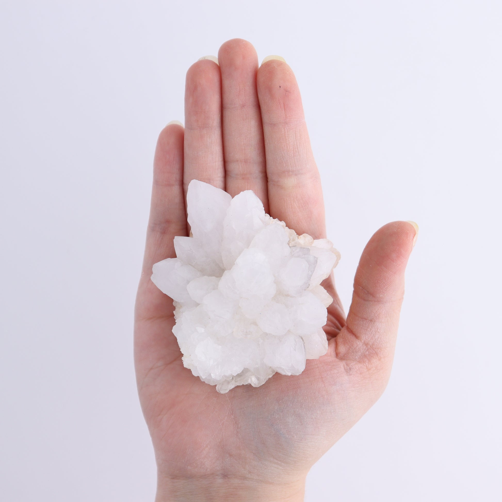 Quartz Flat from Morocco - Expert Wholesale and Supplier of Wholesale Crystals & Bulk Gemstones, ["Flats","Morocco","Quartz"]