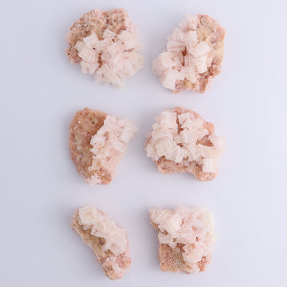 Searles Lake Halite Flat of 6 - Expert Wholesale and Supplier of Wholesale Crystals & Bulk Gemstones, ["Flats","Halite","United States"]