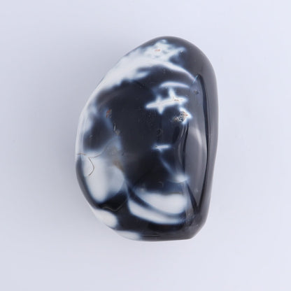 Orca Agate Freeform Set of 4