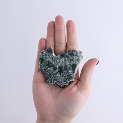 Seraphinite Slices Set of 12 - Expert Wholesale and Supplier of Wholesale Crystals & Bulk Gemstones, ["Seraphinite","Slices and Slabs"]