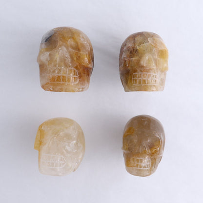 Golden Healer Skulls Set of 4